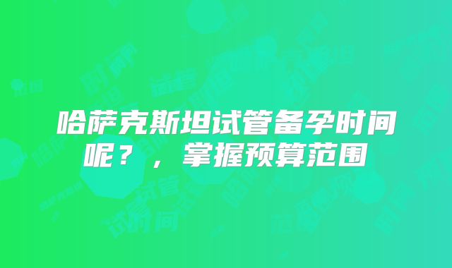 哈萨克斯坦试管备孕时间呢？，掌握预算范围