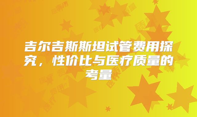 吉尔吉斯斯坦试管费用探究，性价比与医疗质量的考量