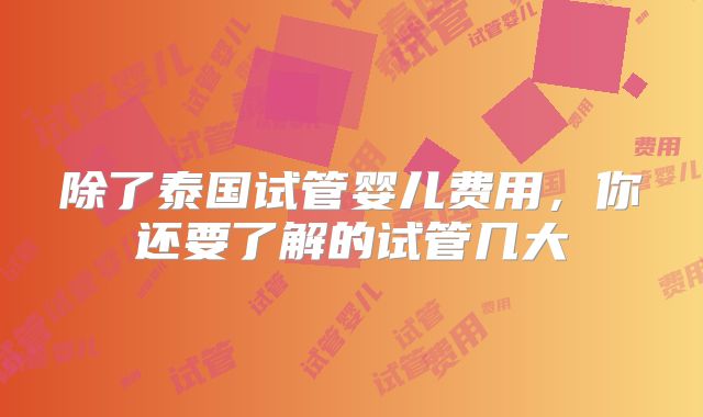 除了泰国试管婴儿费用，你还要了解的试管几大