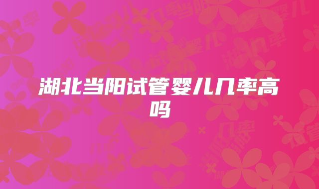 湖北当阳试管婴儿几率高吗