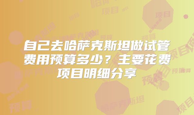 自己去哈萨克斯坦做试管费用预算多少？主要花费项目明细分享