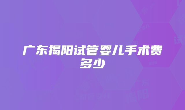 广东揭阳试管婴儿手术费多少