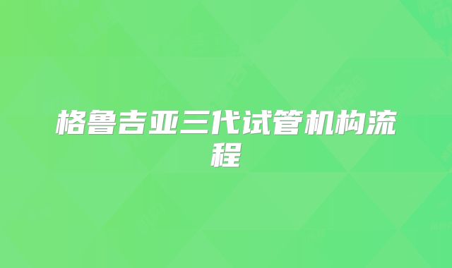 格鲁吉亚三代试管机构流程
