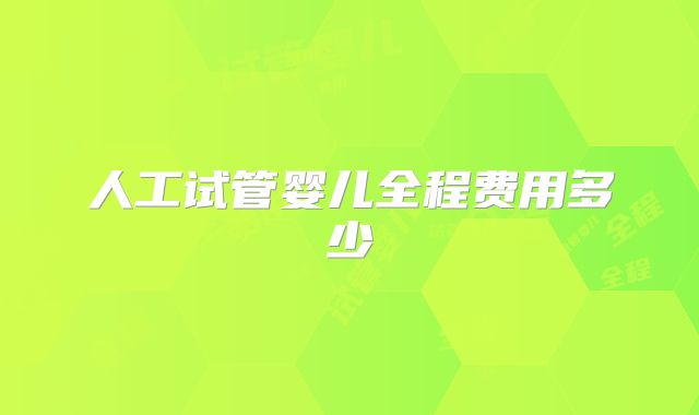 人工试管婴儿全程费用多少