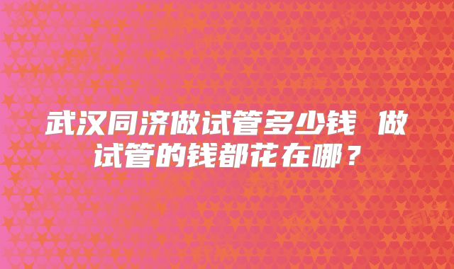 武汉同济做试管多少钱 做试管的钱都花在哪？