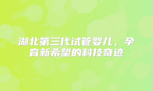 湖北第三代试管婴儿，孕育新希望的科技奇迹