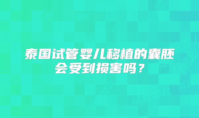 泰国试管婴儿移植的囊胚会受到损害吗?