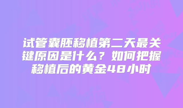 试管囊胚移植第二天最关键原因是什么？如何把握移植后的黄金48小时
