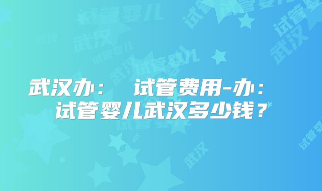 武汉办： 试管费用-办： 试管婴儿武汉多少钱？