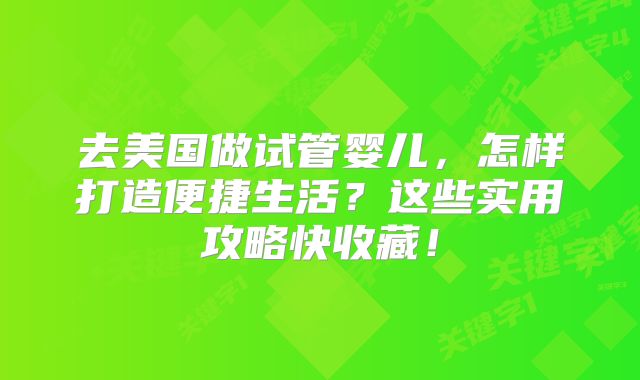 去美国做试管婴儿，怎样打造便捷生活？这些实用攻略快收藏！