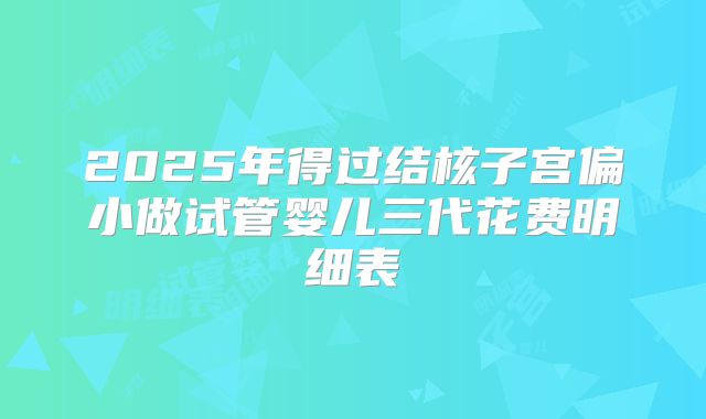 2025年得过结核子宫偏小做试管婴儿三代花费明细表