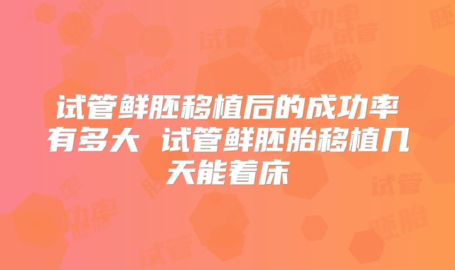 试管鲜胚移植后的成功率有多大 试管鲜胚胎移植几天能着床