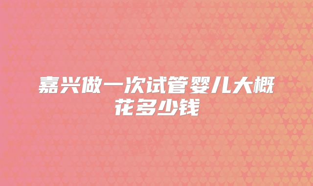 嘉兴做一次试管婴儿大概花多少钱