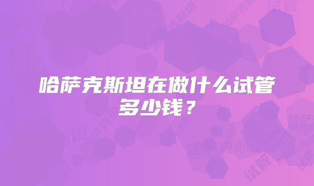 哈萨克斯坦在做什么试管多少钱？