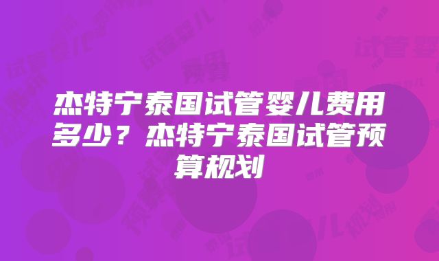 杰特宁泰国试管婴儿费用多少？杰特宁泰国试管预算规划