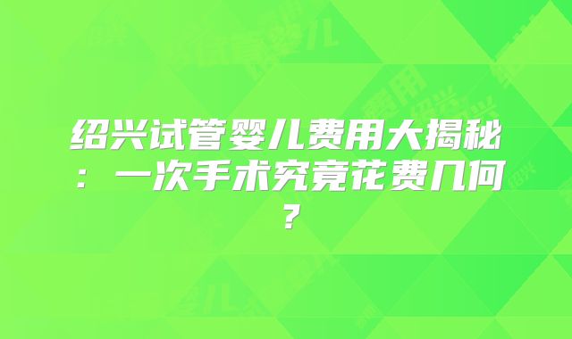 绍兴试管婴儿费用大揭秘：一次手术究竟花费几何？