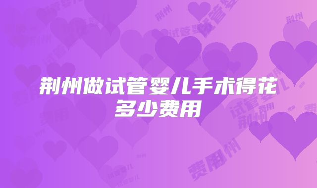 荆州做试管婴儿手术得花多少费用