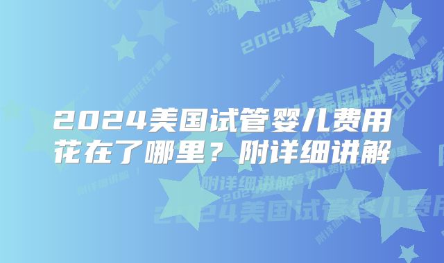 2024美国试管婴儿费用花在了哪里？附详细讲解
