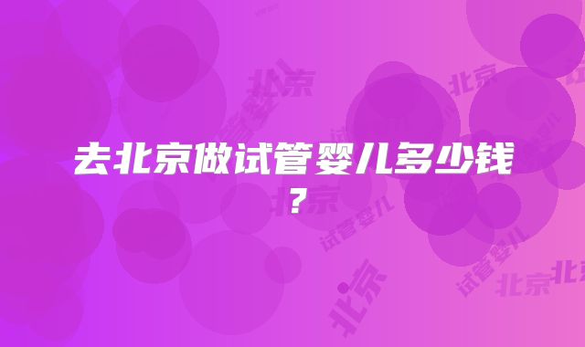 去北京做试管婴儿多少钱？