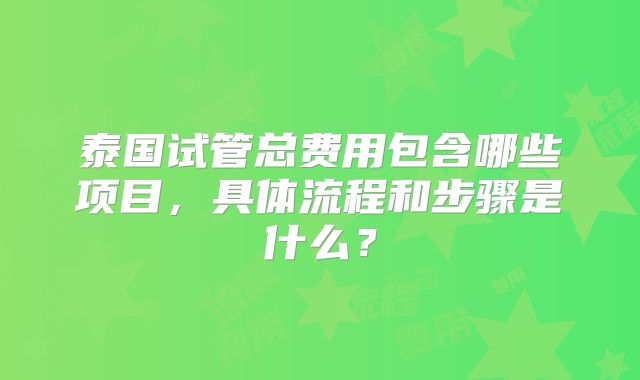 泰国试管总费用包含哪些项目，具体流程和步骤是什么？