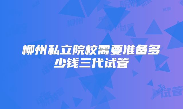 柳州私立院校需要准备多少钱三代试管