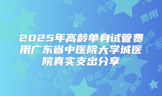 2025年高龄单身试管费用广东省中医院大学城医院真实支出分享