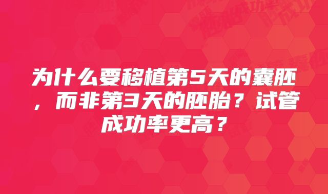 为什么要移植第5天的囊胚,而非第3天的胚胎?试管成功率更高?