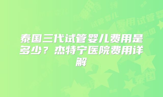 泰国三代试管婴儿费用是多少?杰特宁医院费用详解