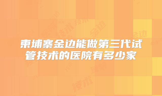 柬埔寨金边能做第三代试管技术的医院有多少家