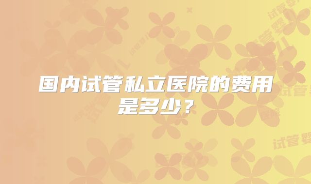 国内试管私立医院的费用是多少？