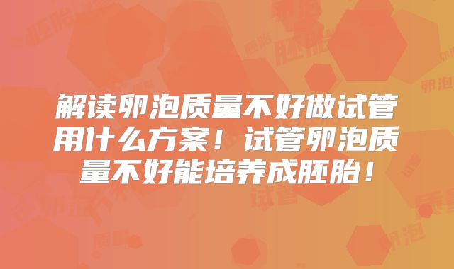 解读卵泡质量不好做试管用什么方案！试管卵泡质量不好能培养成胚胎！