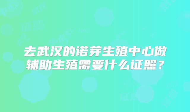 去武汉的诺芽生殖中心做辅助生殖需要什么证照？
