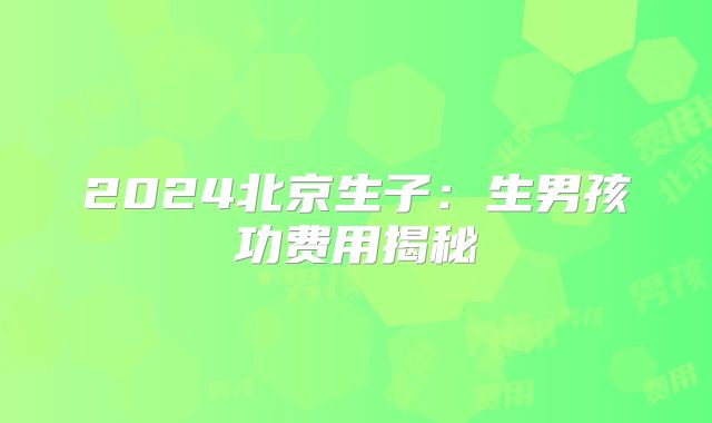 2024北京生子:生男孩功费用揭秘