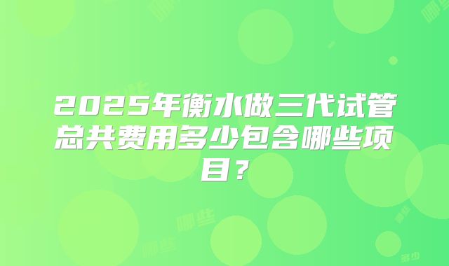 2025年衡水做三代试管总共费用多少包含哪些项目？