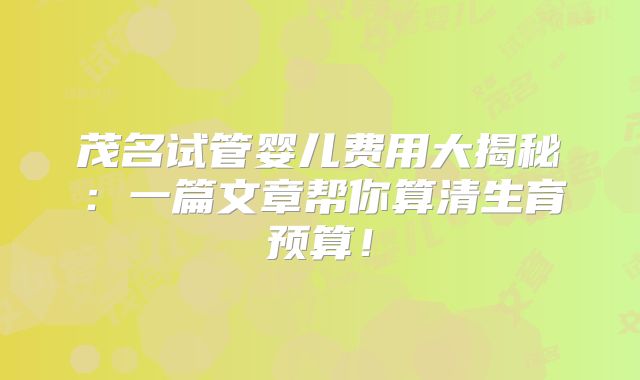 茂名试管婴儿费用大揭秘：一篇文章帮你算清生育预算！