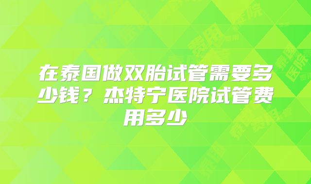在泰国做双胎试管需要多少钱？杰特宁医院试管费用多少