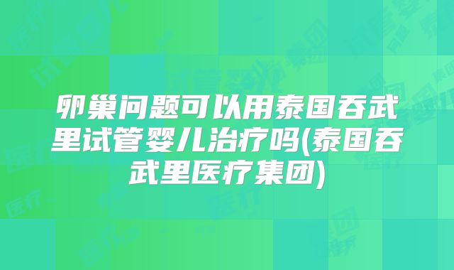 卵巢问题可以用泰国吞武里试管婴儿治疗吗(泰国吞武里医疗集团)
