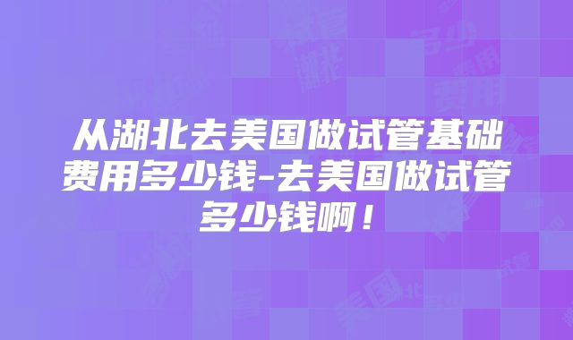 从湖北去美国做试管基础费用多少钱-去美国做试管多少钱啊!