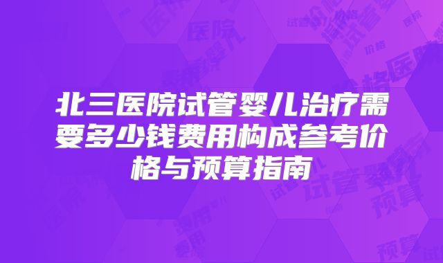北三医院试管婴儿治疗需要多少钱费用构成参考价格与预算指南