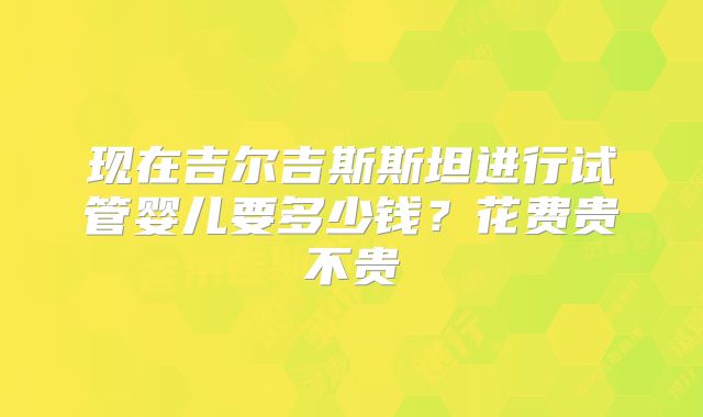 现在吉尔吉斯斯坦进行试管婴儿要多少钱？花费贵不贵