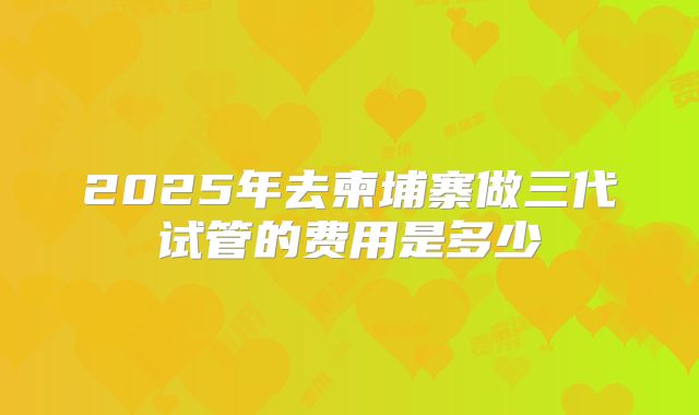 2025年去柬埔寨做三代试管的费用是多少