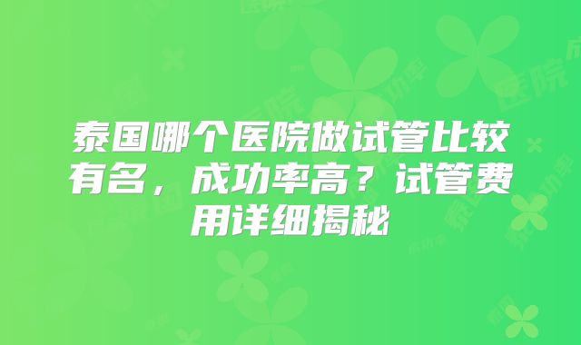 泰国哪个医院做试管比较有名，成功率高？试管费用详细揭秘