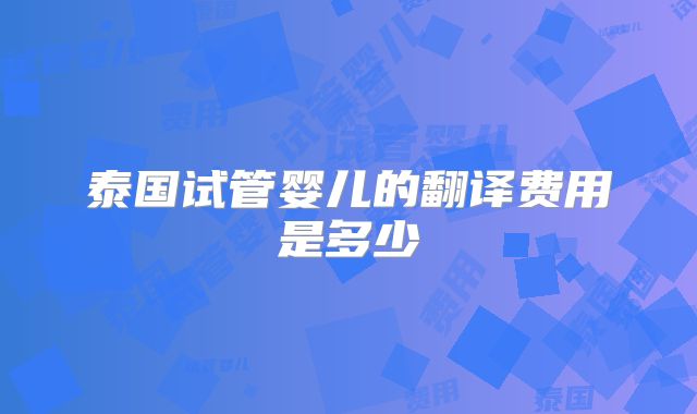 泰国试管婴儿的翻译费用是多少