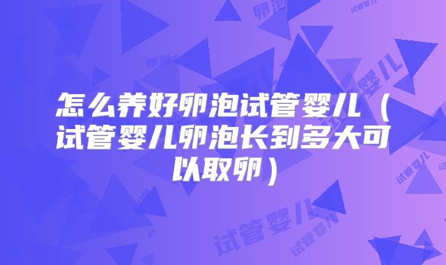 怎么养好卵泡试管婴儿(试管婴儿卵泡长到多大可以取卵)