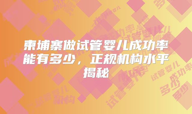 柬埔寨做试管婴儿成功率能有多少,正规机构水平揭秘