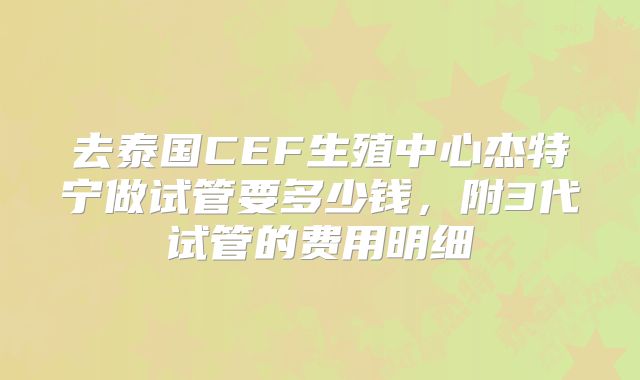 去泰国CEF生殖中心杰特宁做试管要多少钱，附3代试管的费用明细