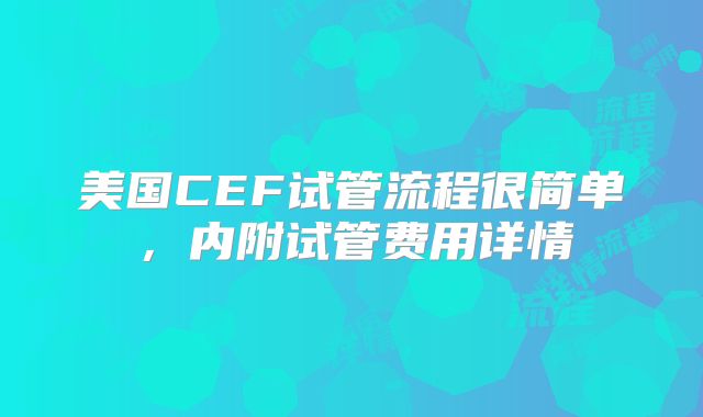 美国CEF试管流程很简单，内附试管费用详情