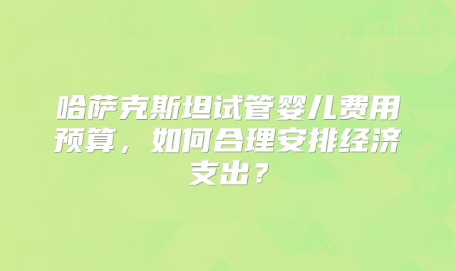 哈萨克斯坦试管婴儿费用预算，如何合理安排经济支出？