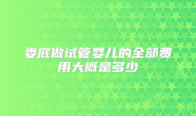 娄底做试管婴儿的全部费用大概是多少