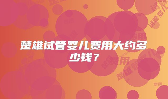 楚雄试管婴儿费用大约多少钱？